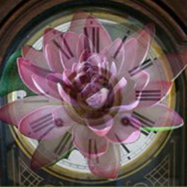 Del reloj a la flor de loto. Crisis contemporánea y cambio de paradigmas