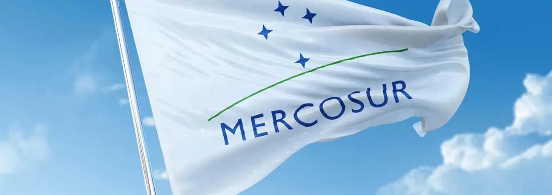N° 77. Los tribunales electorales en el ámbito del Mercosur