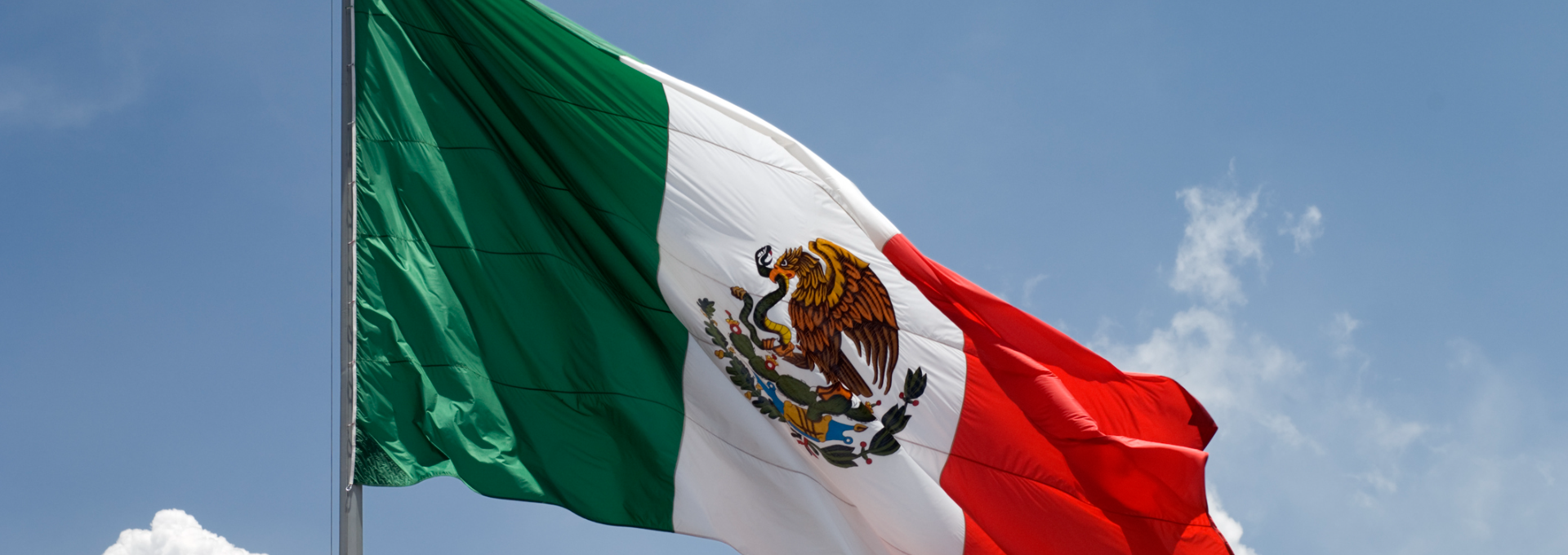 Nº 60. México hacia el Mercosur