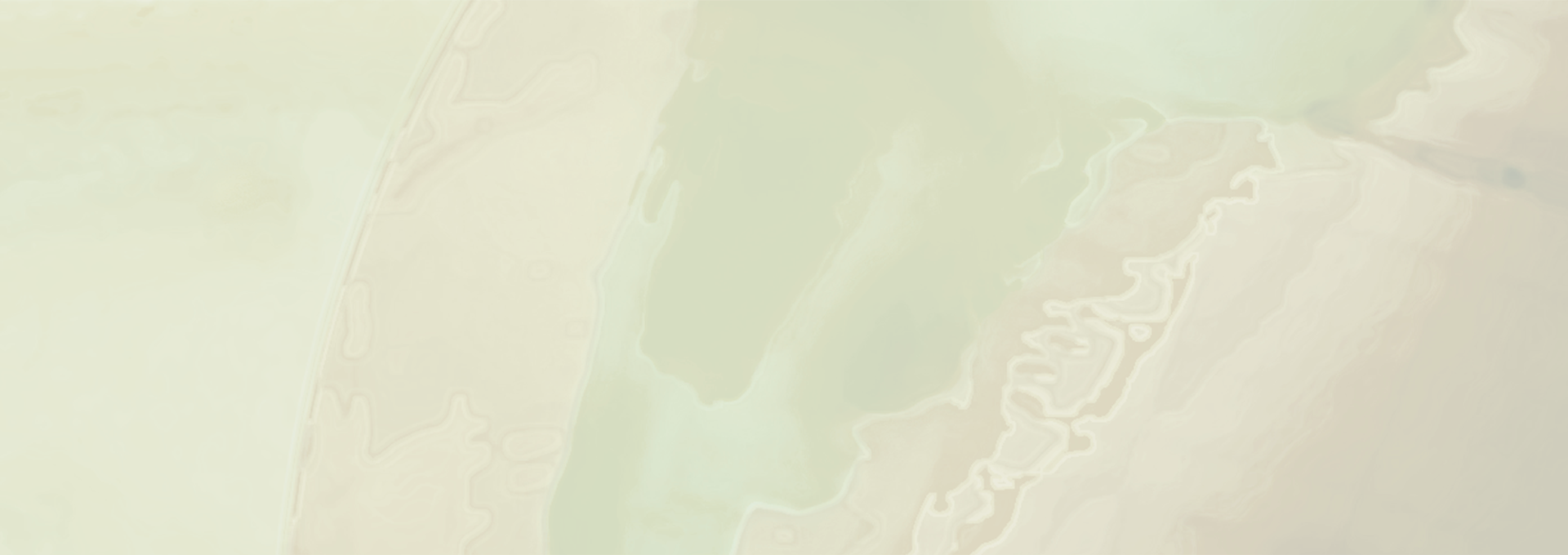 Epílogo. Democracias latinoamericanas: institucionalidad, desafíos y el camino hacia adelante