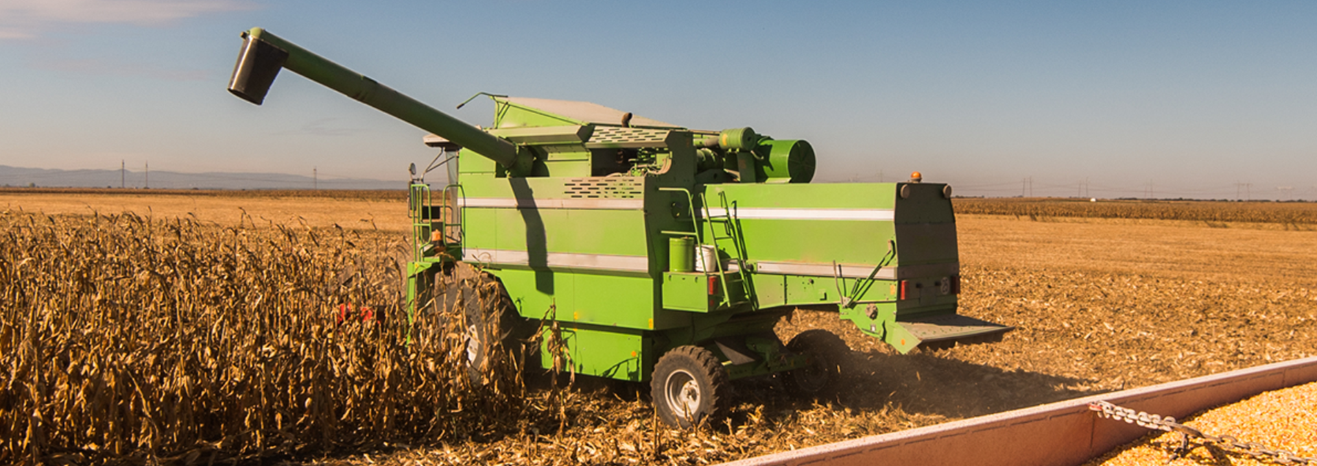 El comercio agroalimentario con China. Oportunidades y desafíos para la estrategia competitiva y de crecimiento de Argentina