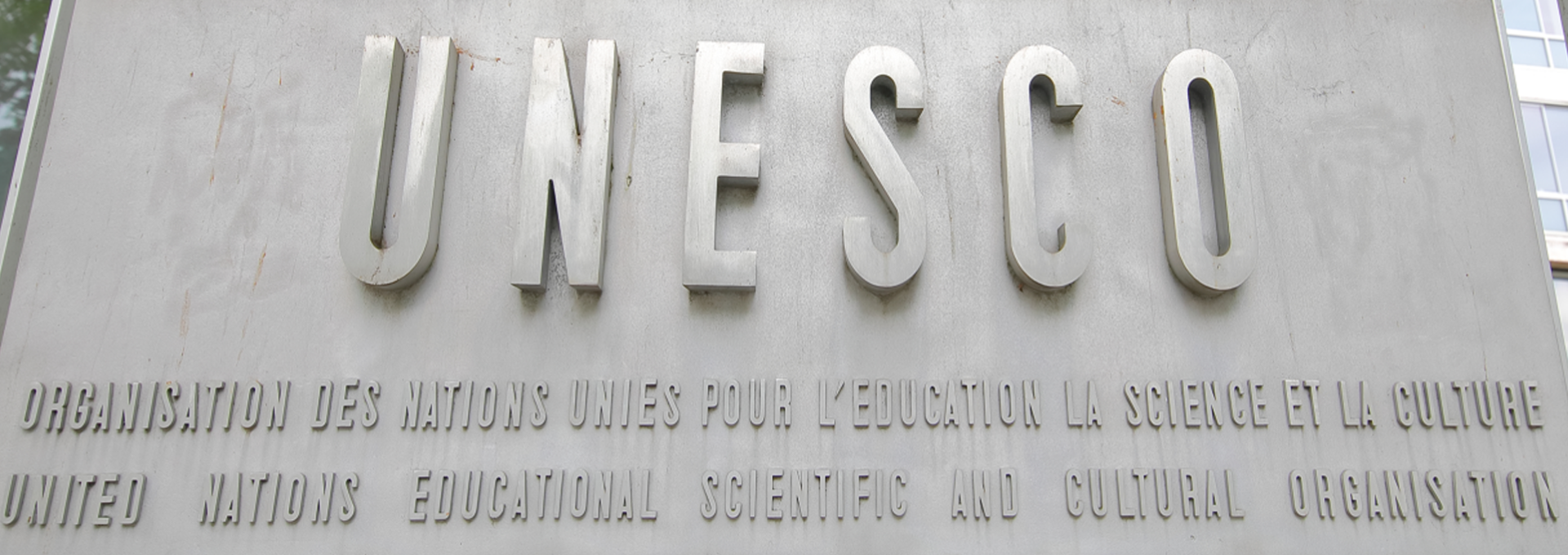 Comentarios críticos sobre el proceso de reforma de la Convención de París de 1970